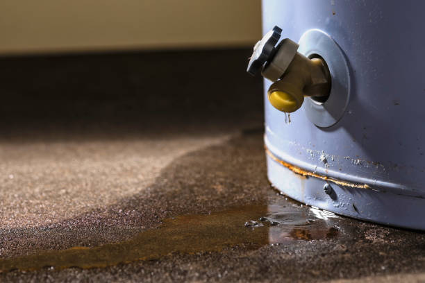 Best Water damage restoration near me  in Waunakee, WI