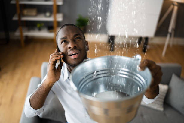 Best Local water damage restoration  in Waunakee, WI