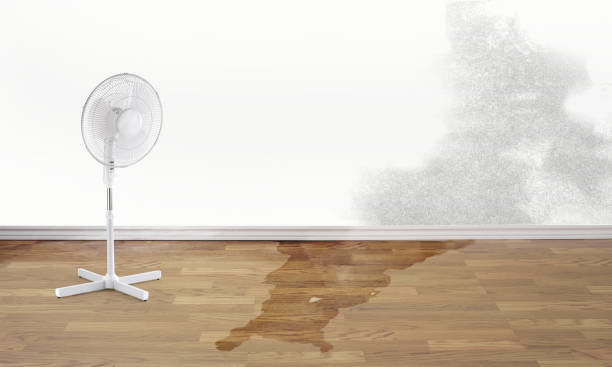Best Sewage cleanup and water damage restoration  in Waunakee, WI