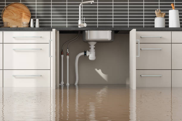 Best 24/7 water damage repair  in Waunakee, WI